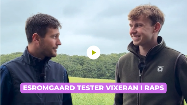 VIXERAN video - Mindre kvælstof, samme udbytte? VIXERAN testes i raps på Esromgaard