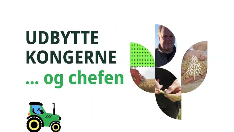 Udbyttekongerne og Chefen episode 11. Tilbageblik på sæsonen