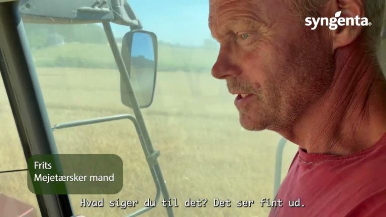 📊 12 tons vinterbyg på det bedste sted af marken, 10 tons i gennemsnit.
