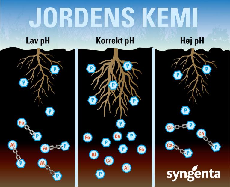 Jordens kemi, frugtbar jord, organisk materiale, humus, PH-værdi