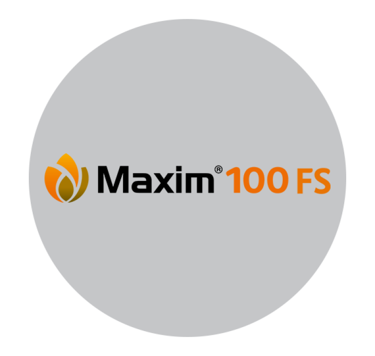 Maxim 100 FS