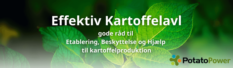 Effektiv kartoffelavl med råd fra Syngenta