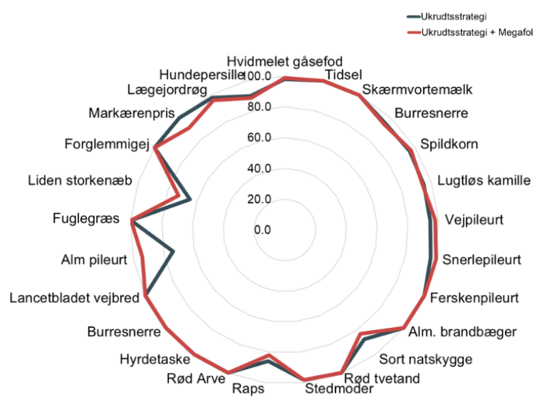 Ukrudtsstrategi med MEGAFOL