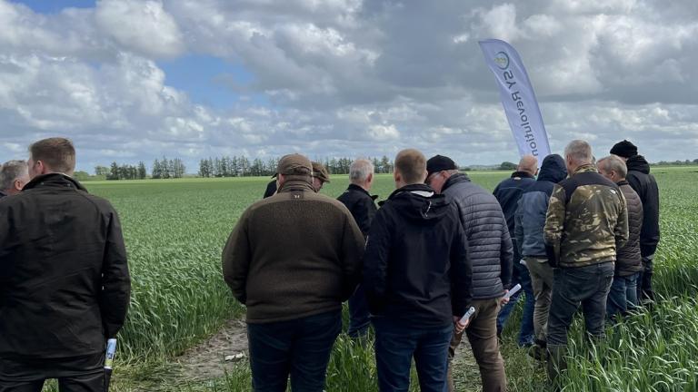 1132x637-birkelse-event
