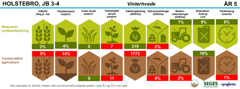 Resultat grafik Holstebro 2025