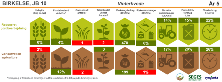 Resultat grafik Birkelse 2025