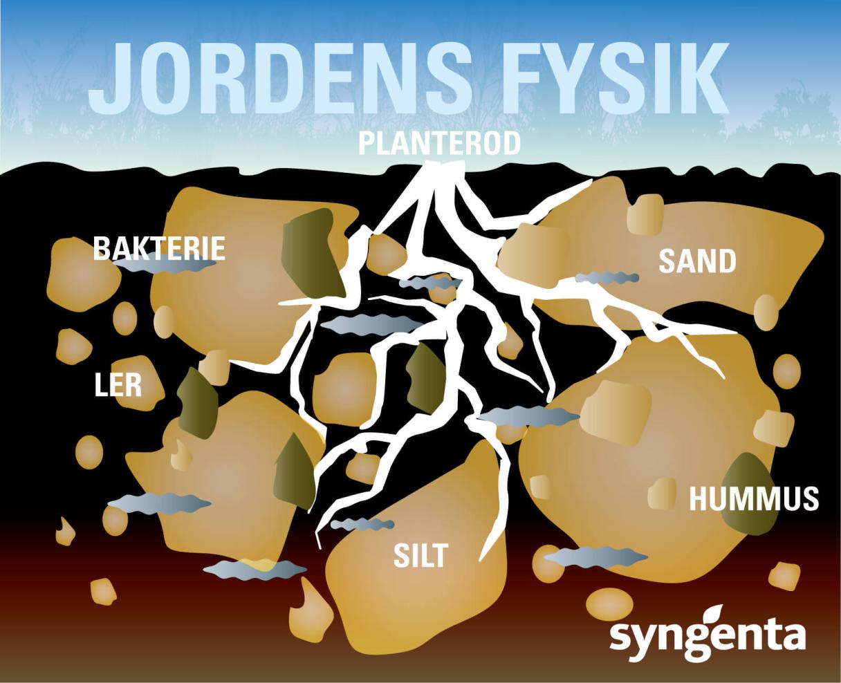 Vores jord består af ler, grus og sten samt organisk materiale fra levende og døde organismer - kaldet jordens tekstur.