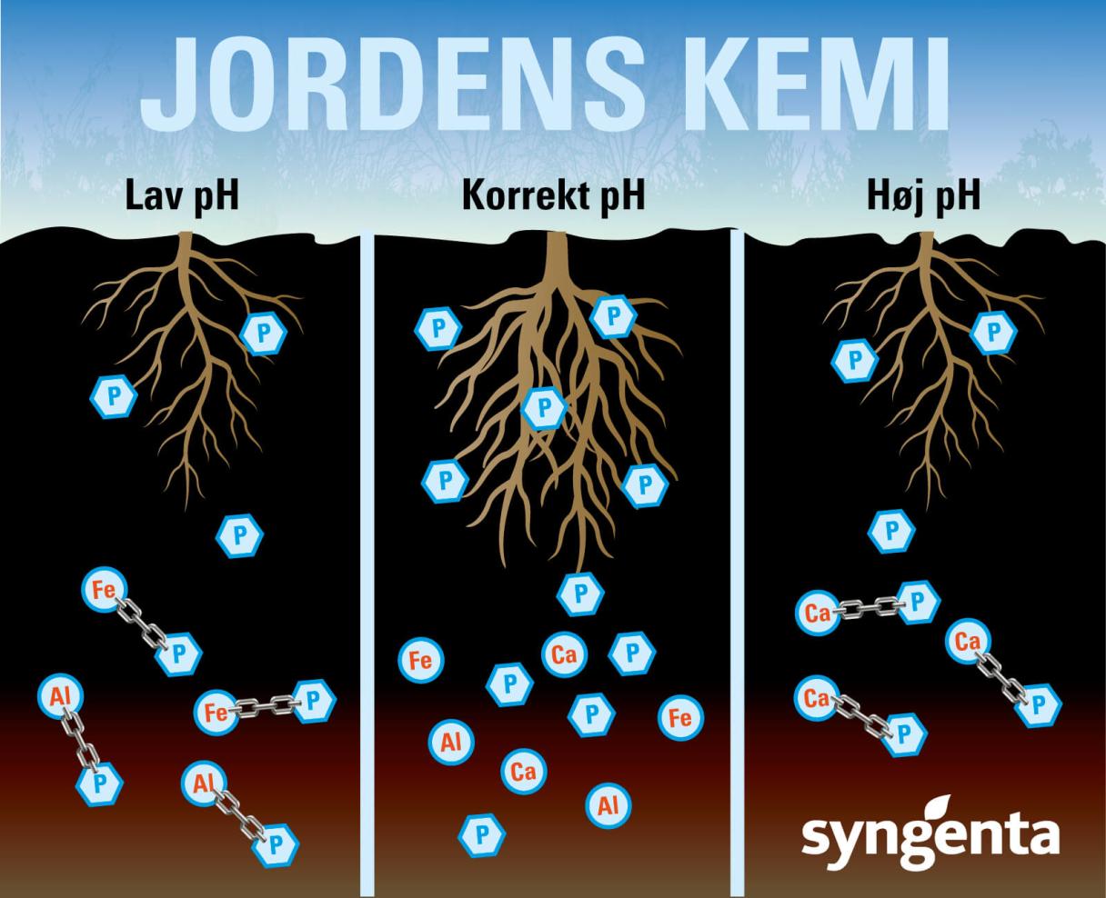 Jordens kemi, frugtbar jord, organisk materiale, humus, PH-værdi