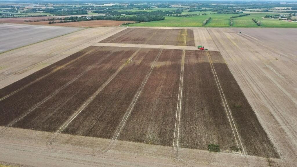 Høst af de i alt 12 storparceller ved JSJ-agro nær Birkelse, foto Christian Sommerlund. 