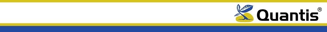 Quantis logo banner