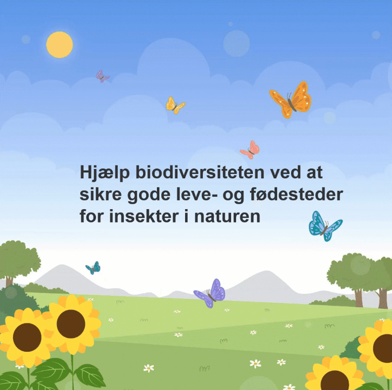 Biodiversitet
