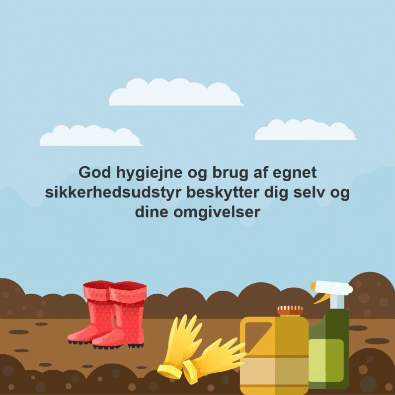 Sikkerhed