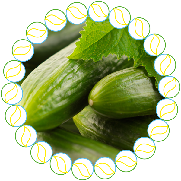 TAEGRO biofungicid 