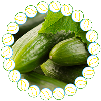 TAEGRO biofungicid 