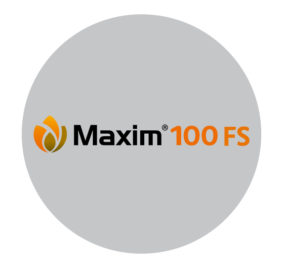 Maxim 100 FS