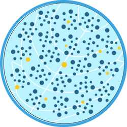 Resistent genotype opformerer sig