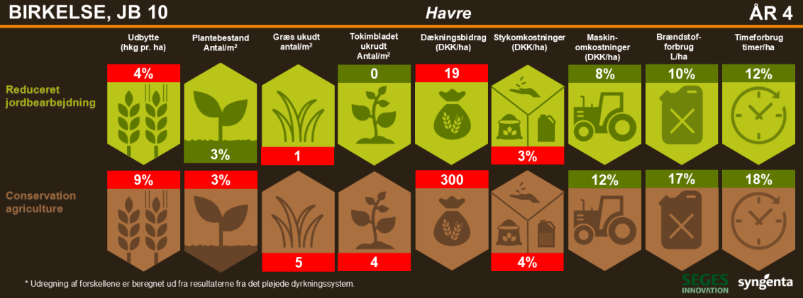 2024 resultater fra havren i Birkelse