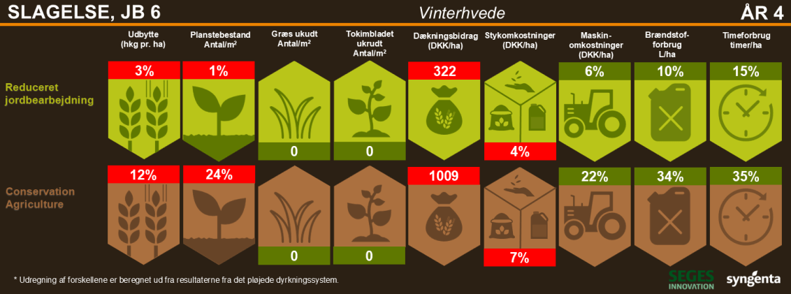 Resultater fra vinterhveden i Slagelse 2024