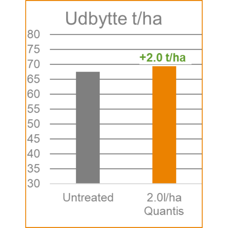 Forsøg med QUANTIS - udbytte t/ha