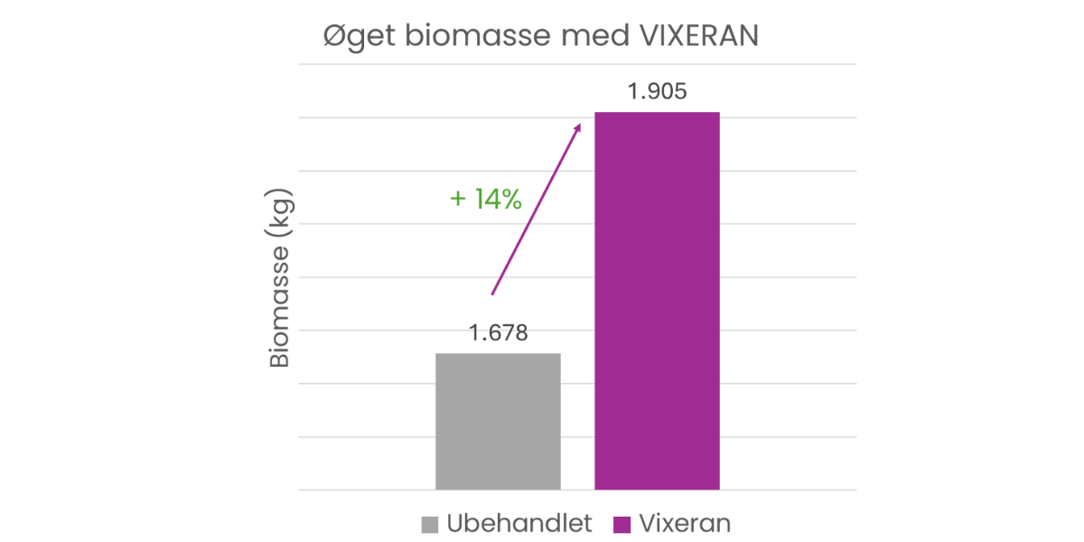 Biomasse i raps med VIXERAN