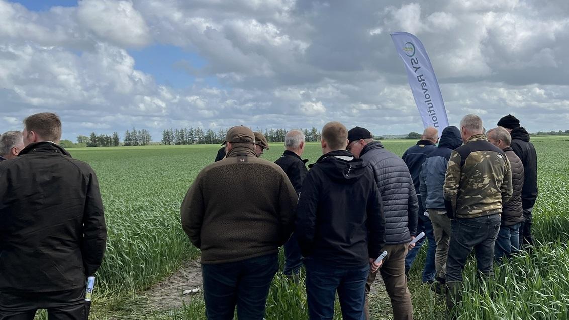 1132x637-birkelse-event