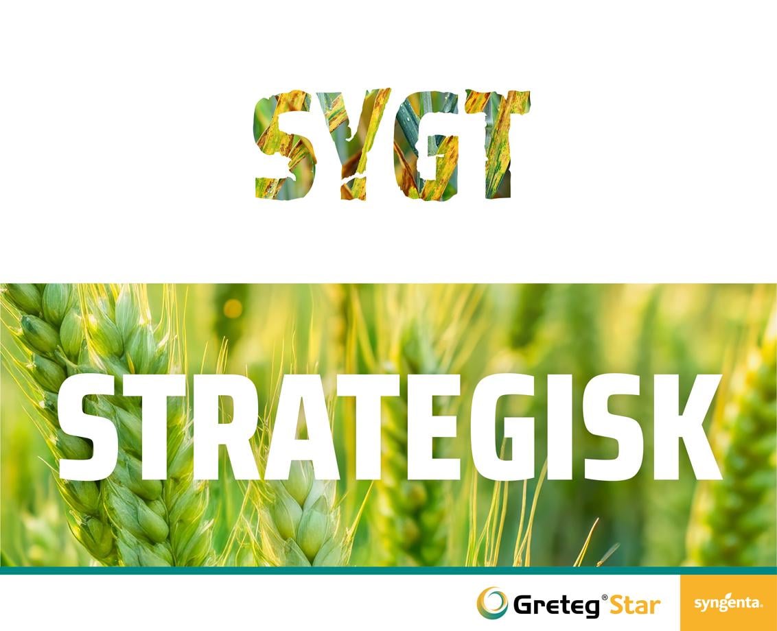 18127_26.01_sygt-strategisk_1132x920px.jpg