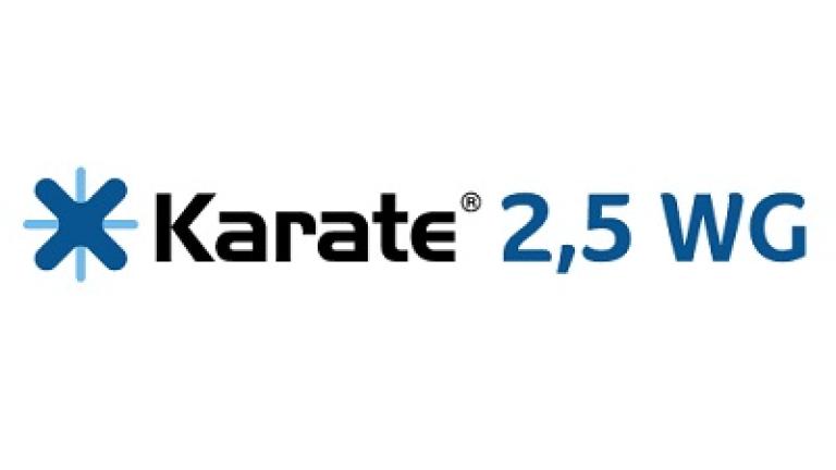 Karate 2.5 WG logo